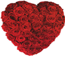 Deluxe Roses