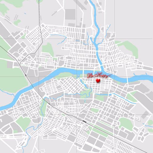 Tver map